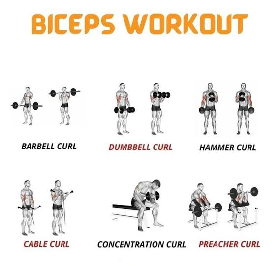 biceps workouts