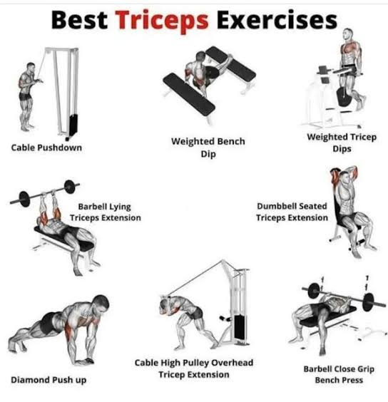 triceps workouts